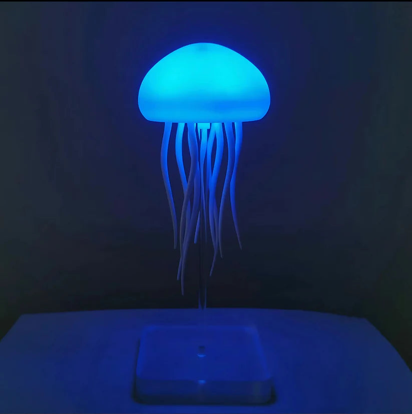 Jelly Motion Light