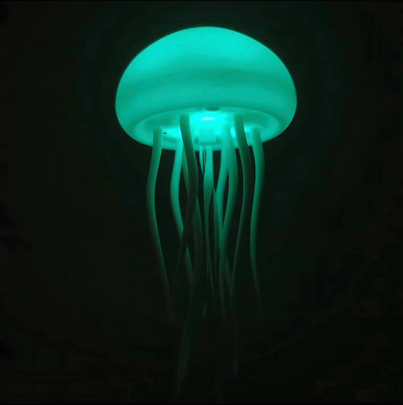 Jelly Motion Light