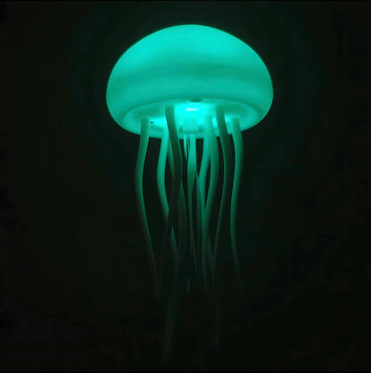 Jelly Motion Light